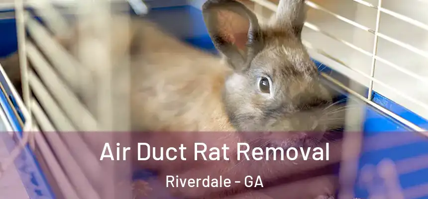 Air Duct Rat Removal Riverdale - GA