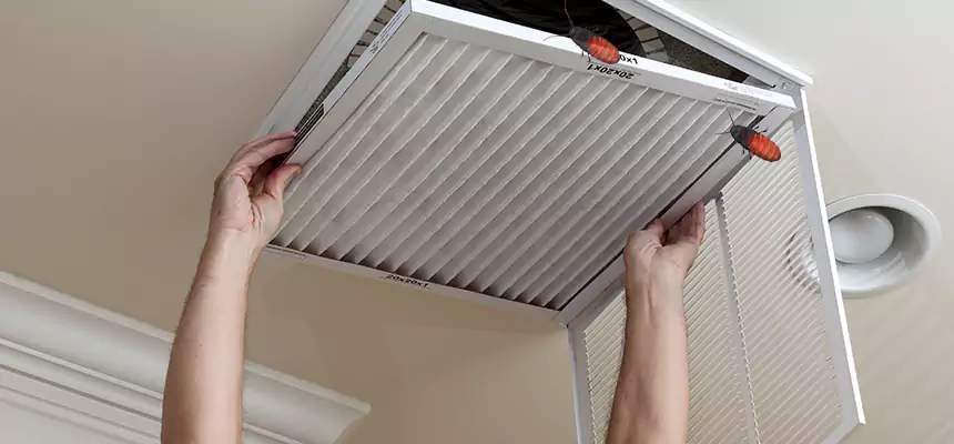 Preventive Cockroach-Proofing for Ducts in Riverdale
