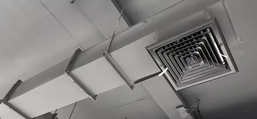 Our Rodent Droppings In Vents Services in Riverdale, GA