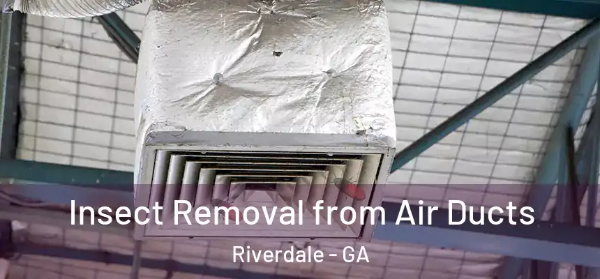  Insect Removal from Air Ducts Riverdale - GA