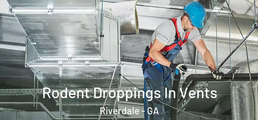  Rodent Droppings In Vents Riverdale - GA