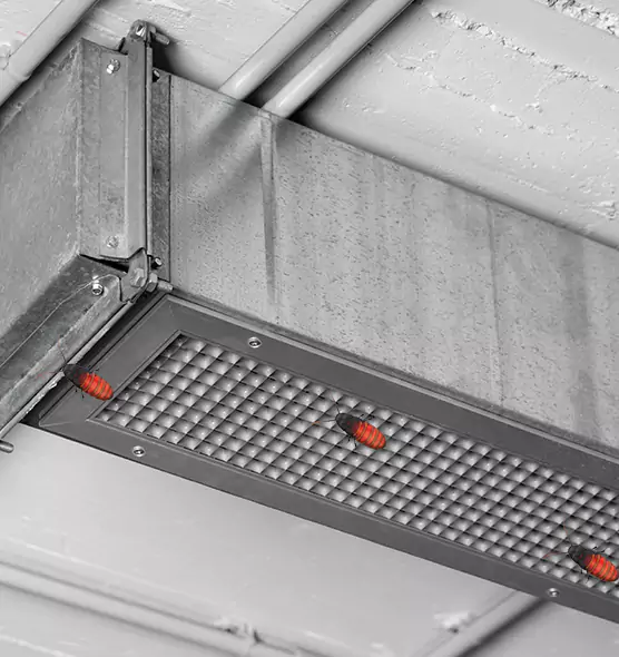 About Air Duct Cockroach Removal in Riverdale, GA