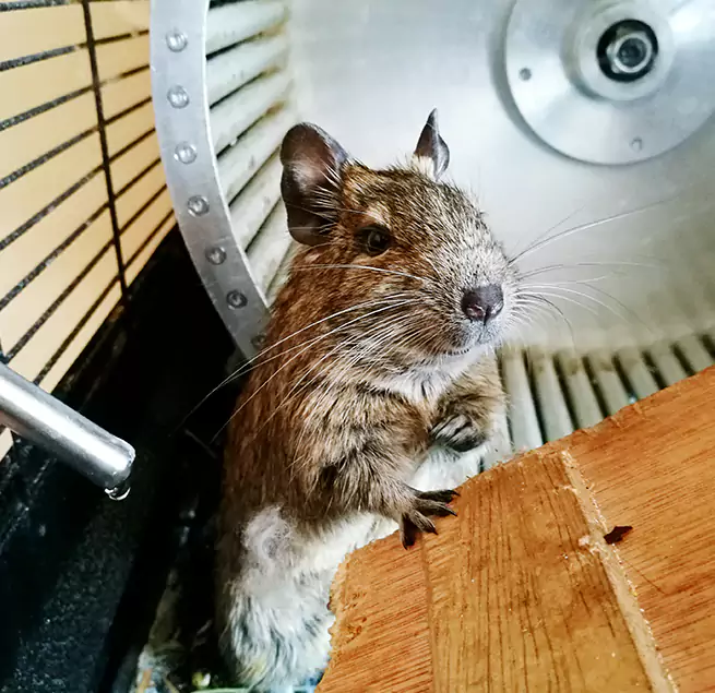 Why Homeowners & Businesses Trust Us Riverdale, GA