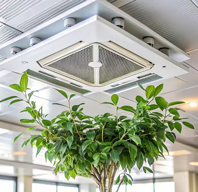 Why Homeowners & Businesses Trust Us in Riverdale, GA?