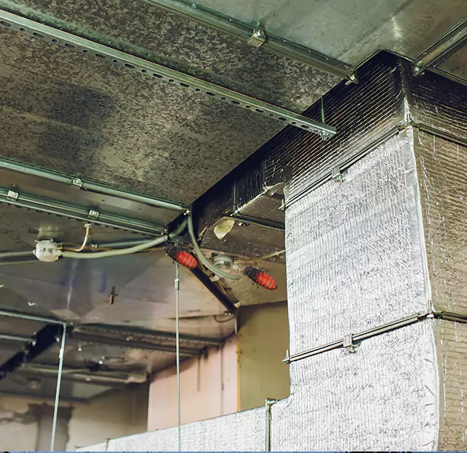 Why Homeowners & Businesses Trust Us Riverdale, GA?