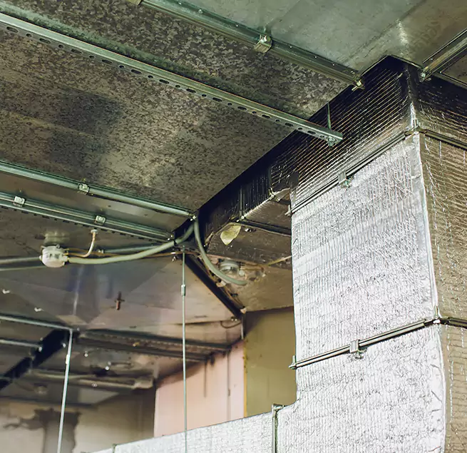 Why Homeowners & Businesses Trust Us in Riverdale, GA?